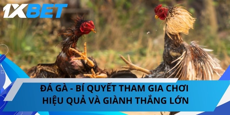 Đá Gà