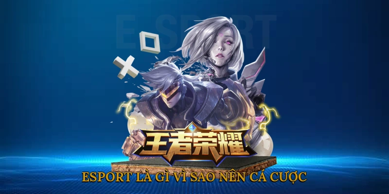Esport Là Gì? Vì Sao Nên Cá Cược Thể Thao Điện Tử?
